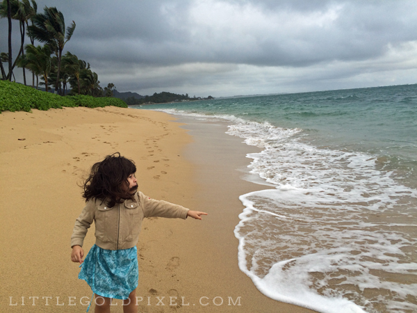 Windward Oahu Travel Guide • Little Gold PIxel