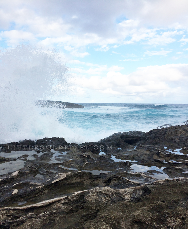 Windward Oahu Travel Guide • Little Gold PIxel