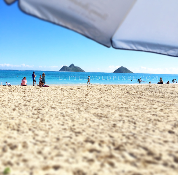 How We Completely Relaxed on Windward Oahu