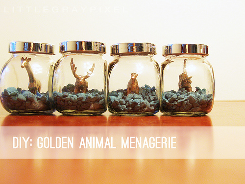 33 Projects: Animals in a Jar