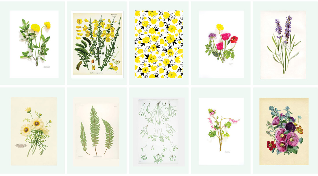 40 Free Botanical Printables • Little Gold Pixel