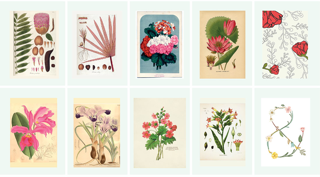 40 Free Botanical Printables • Little Gold Pixel