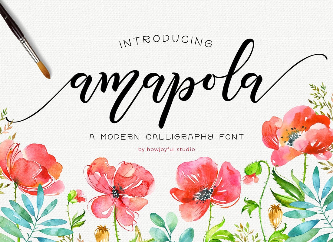 Amapola Script • 14 Bouncy Fonts to Liven Up Your Designs • Little Gold Pixel