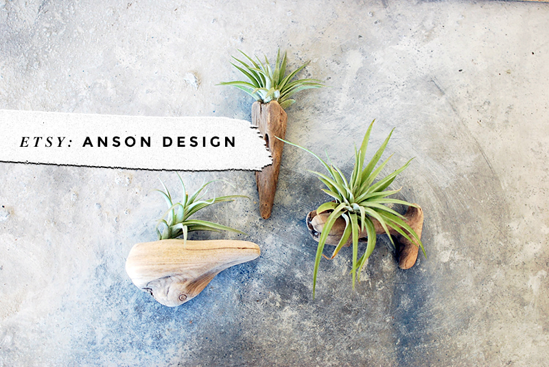 8 Awesome Air Plant Hangers • Little Gold Pixel • Anson Design