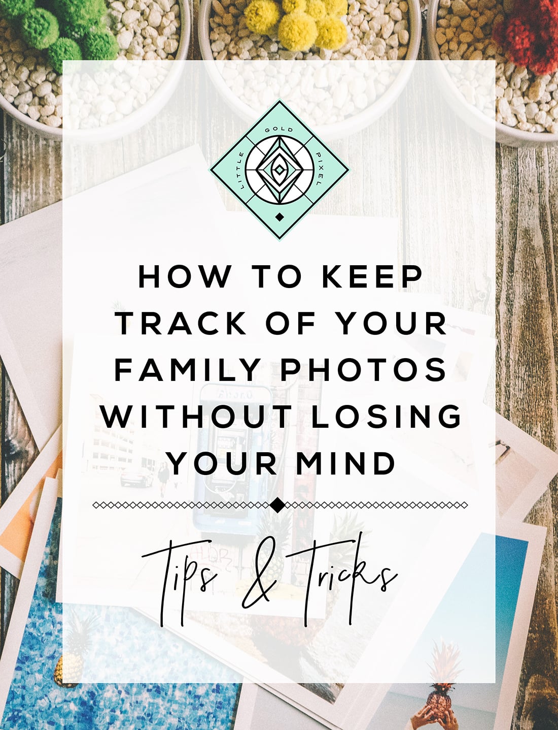 How to Create Family Yearbooks Using Blurb • Little Gold Pixel