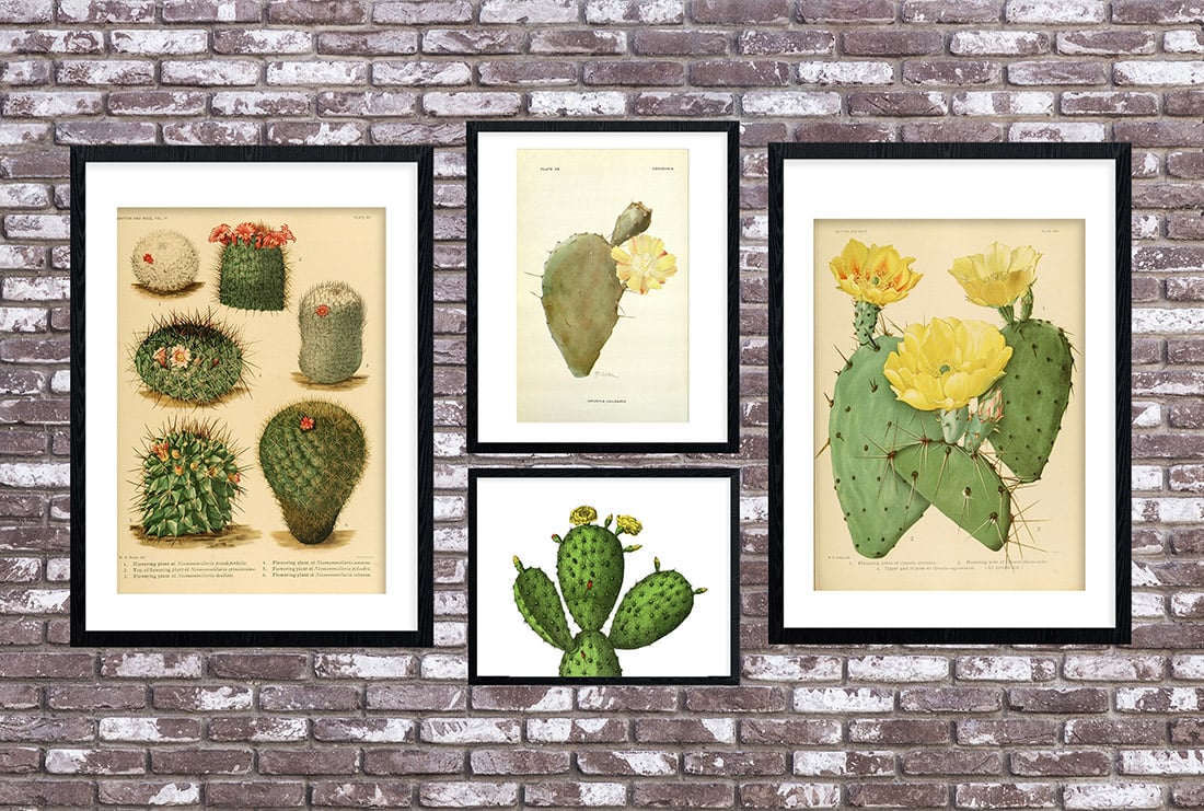 cactus-art-roundup-55-awesome-free-printables-little-gold-pixel