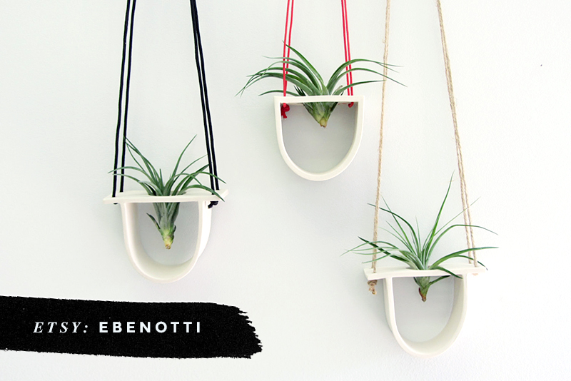 8 Awesome Air Plant Hangers • Little Gold Pixel • Ebenotti