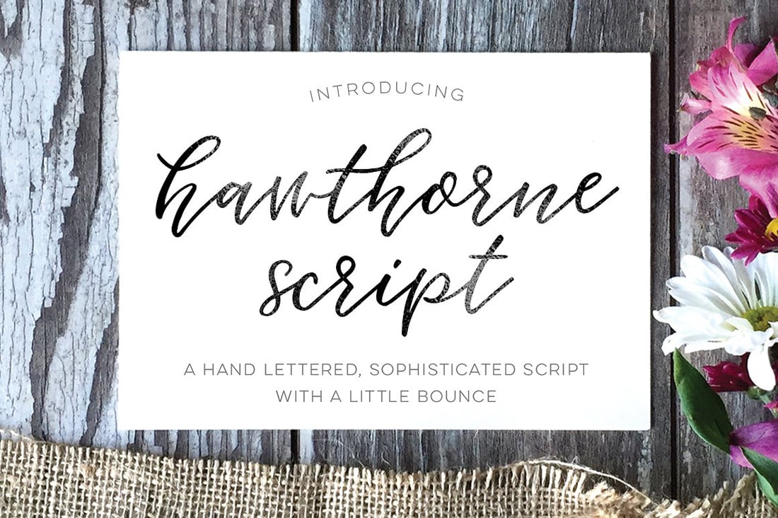 Hawthorne Script • 14 Bouncy Fonts to Liven Up Your Designs • Little Gold Pixel