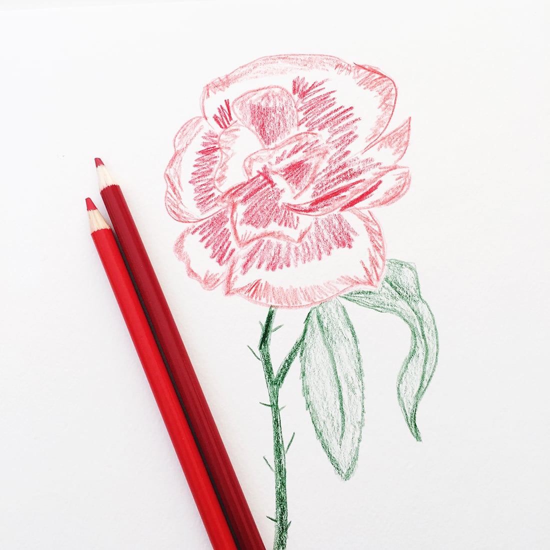 Essential Tools for Creatives • Little Gold Pixel