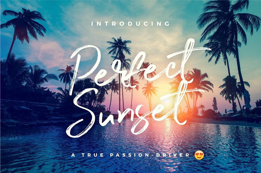 Summer Typography • 20 Typefaces with Tropical VIbes • Little Gold Pixel