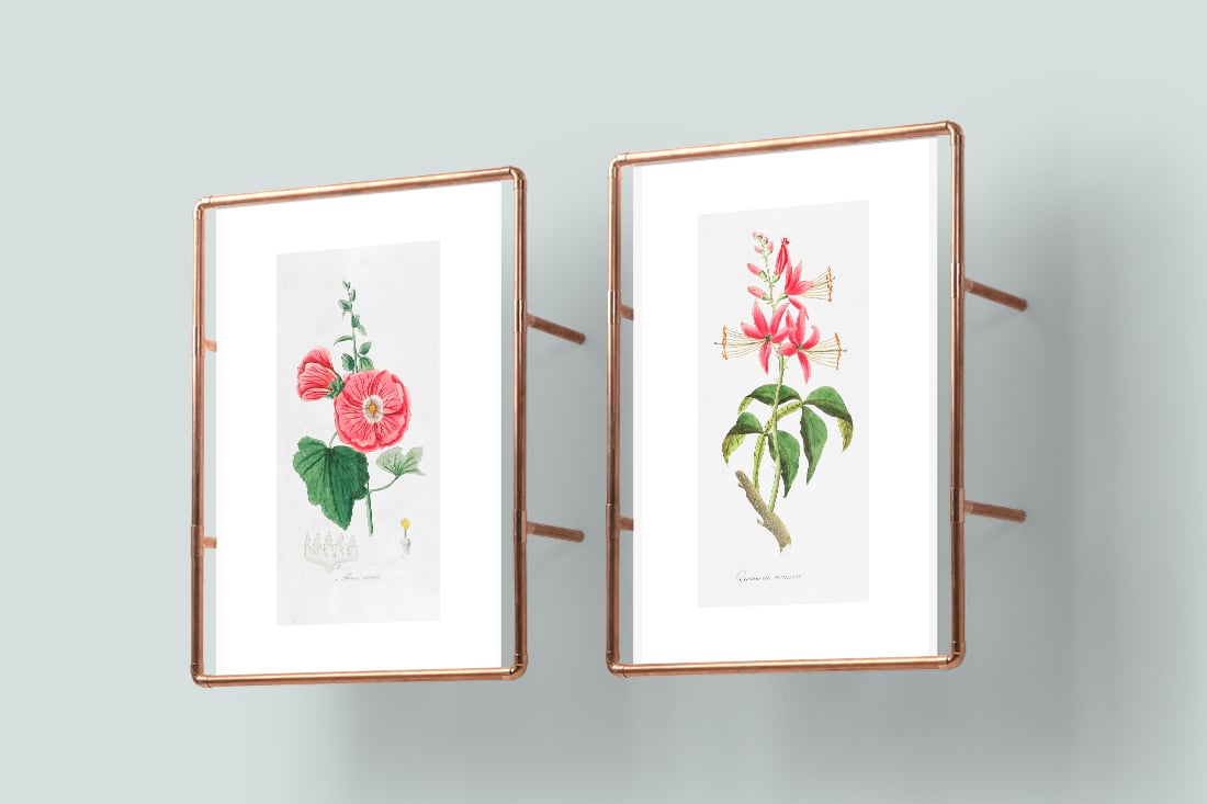 Free Vintage Art • In which I break down my favorite sites for finding free vintage art. Bonus: I retouch and resize two vintage botanical printables for you to download and display at home. • Little Gold Pixel