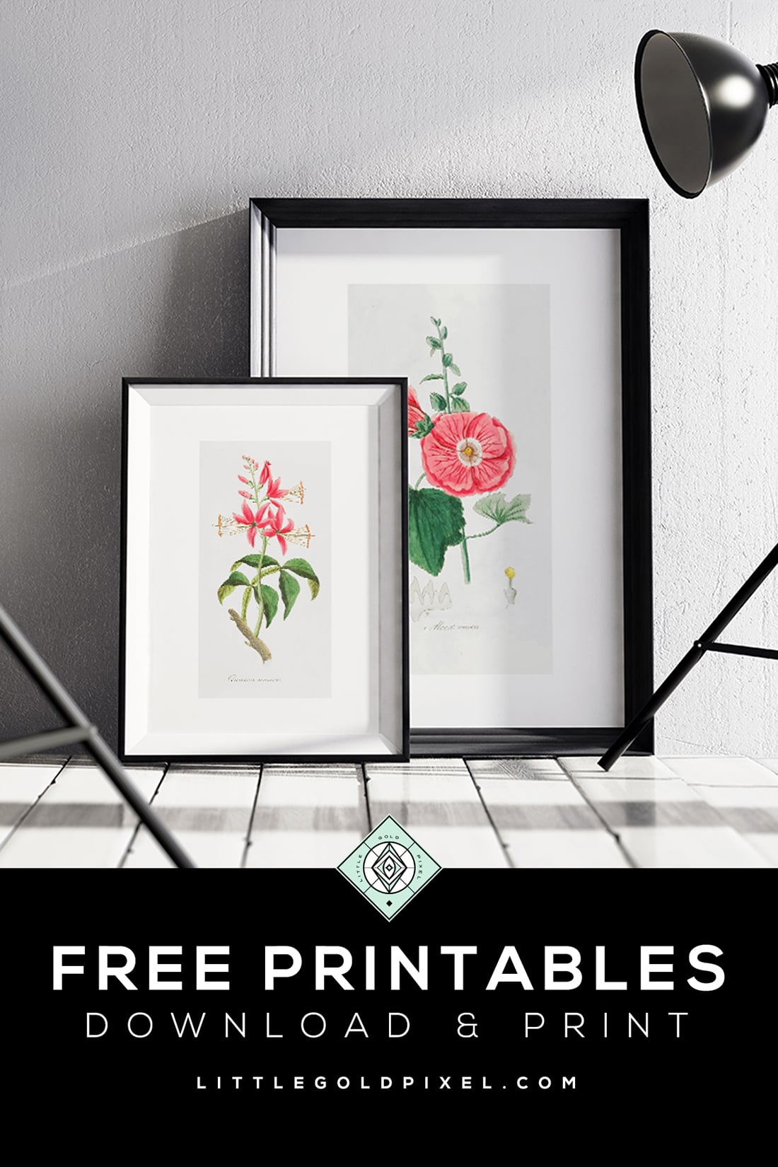 Free Vintage Art • In which I break down my favorite sites for finding free vintage art. Bonus: I retouch and resize two vintage botanical printables for you to download and display at home. • Little Gold Pixel