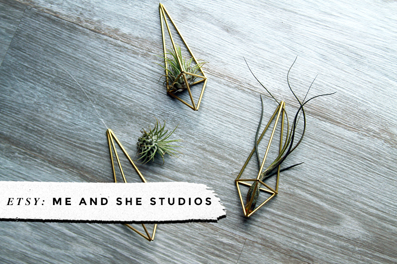 Me and She Studios • 8 Awesome Air Plant Hangers • Little Gold Pixel