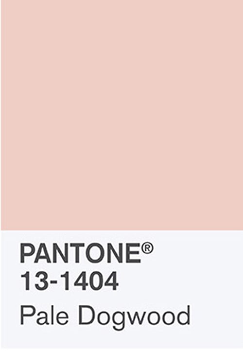 Color chart of millennial pink. It was obtained from the