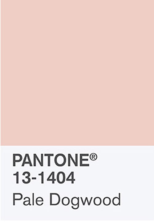 millennial pink Color Palette