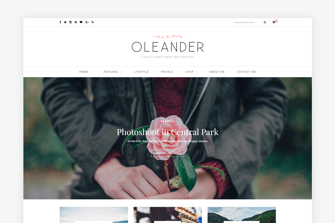 Top 5 Design Tools • Little Gold Pixel • Oleander Theme