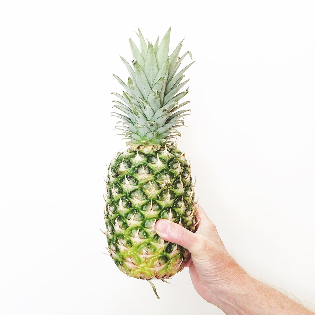 30 Amazing Free Pineapple Printables