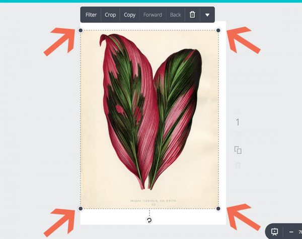 How to Resize Printables Using Free Tools • Little Gold Pixel