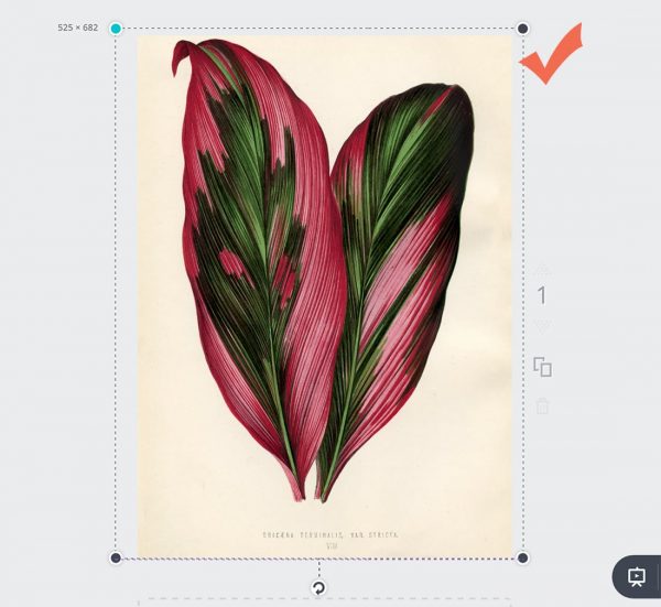 How to Resize Printables Using Free Tools • Little Gold Pixel