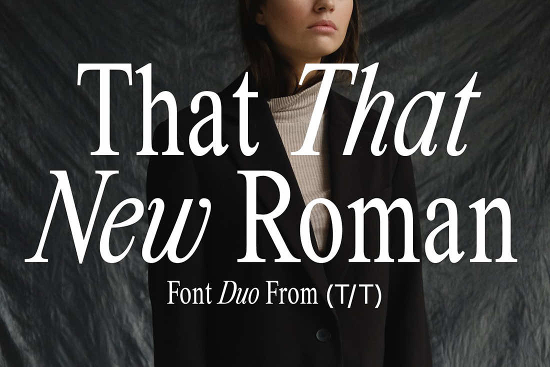 20 Super Timely Retro Serif Fonts • Little Gold Pixel • That That New Roman